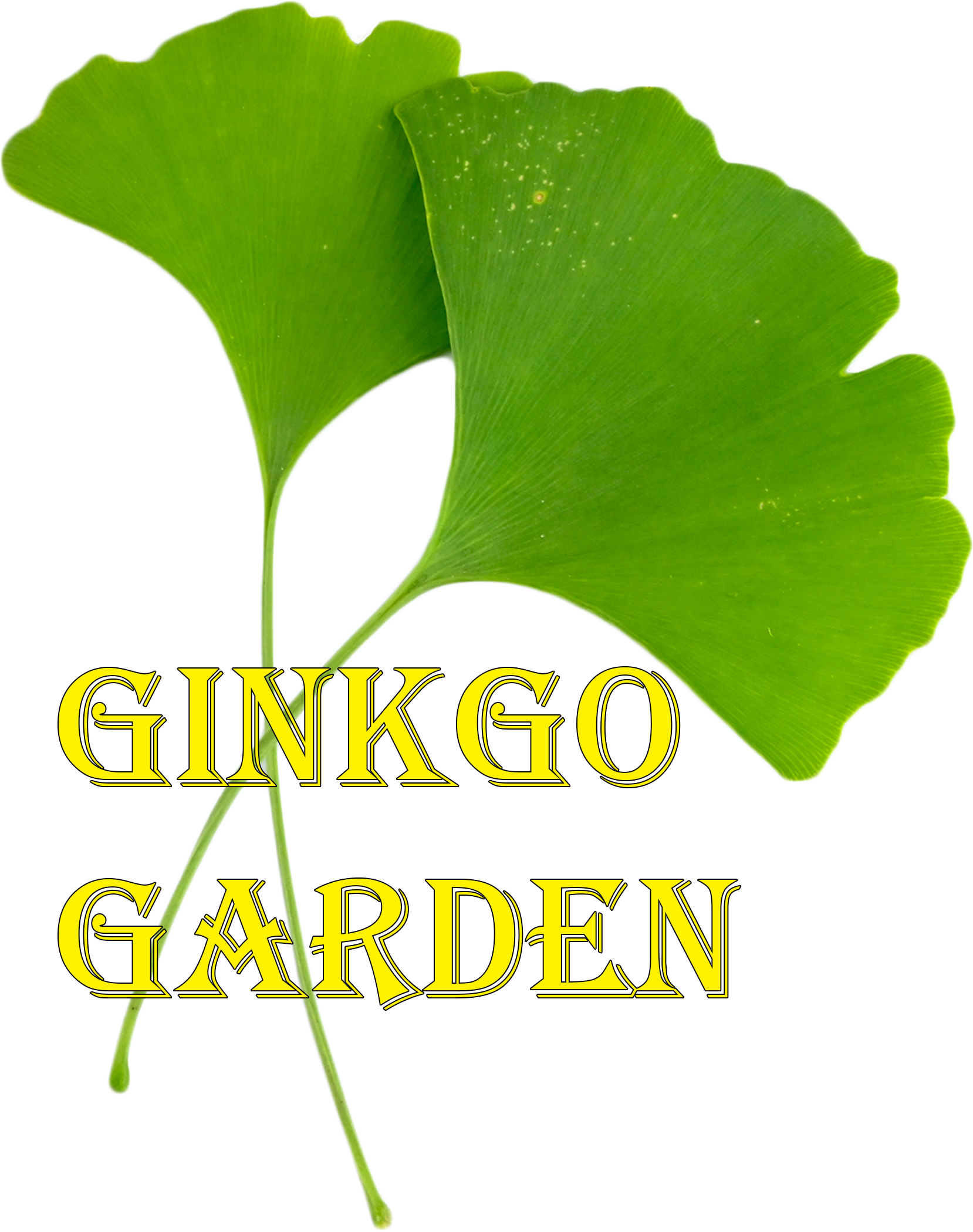 Ginkgo Garden Chinese food